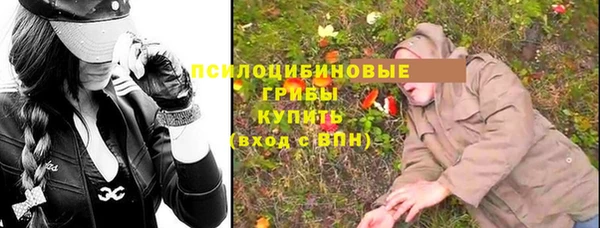 стафф Снежинск